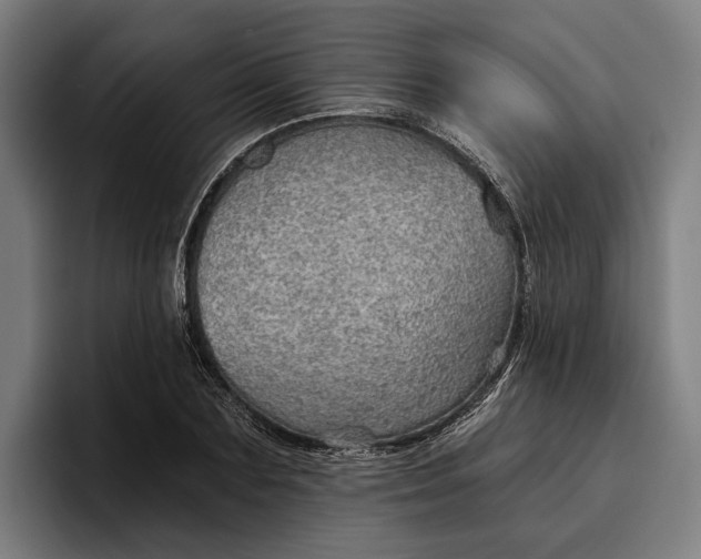 X0000096690883200802191426