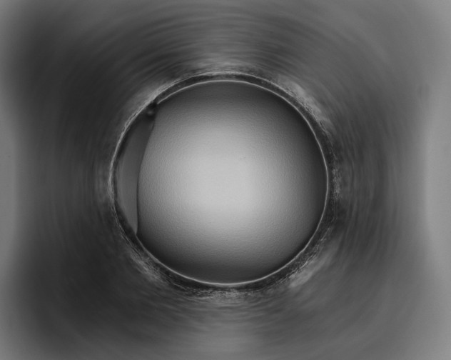 X0000096690885200802191426