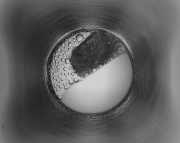 X0000096690887200802191426