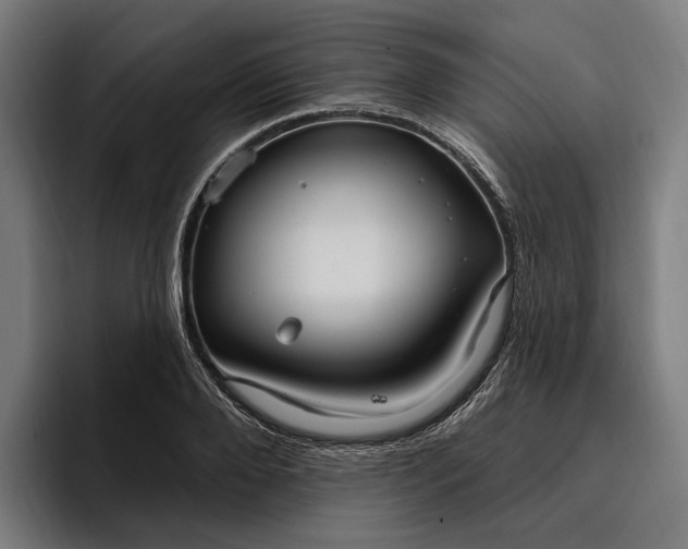 X0000096690888200802191426