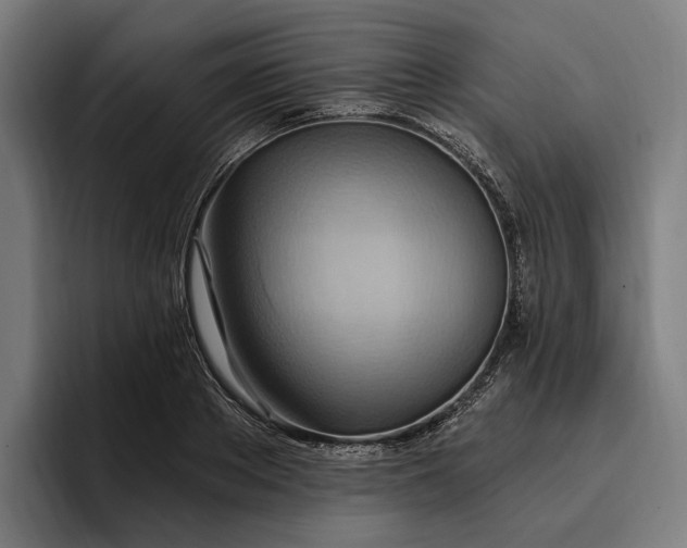 X0000096690889200802191426