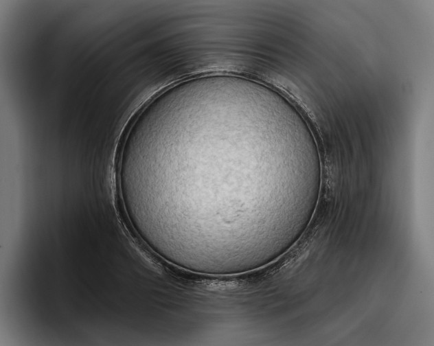 X0000096690890200802191426