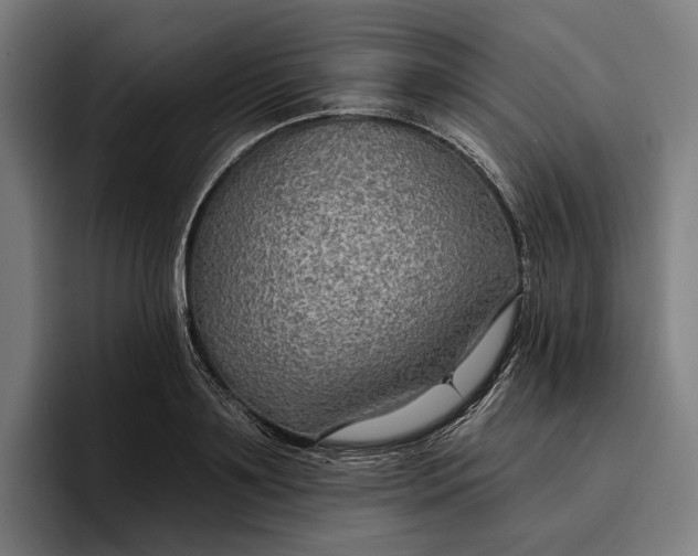 X0000096690891200802191426