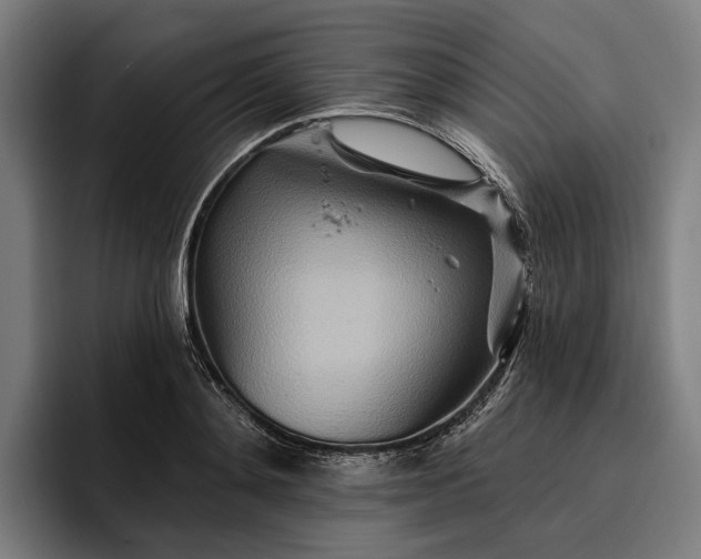 X0000096690892200802191426