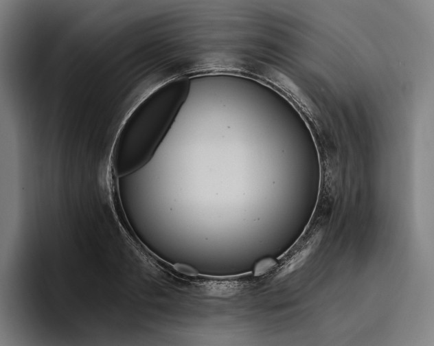 X0000096690893200802191426