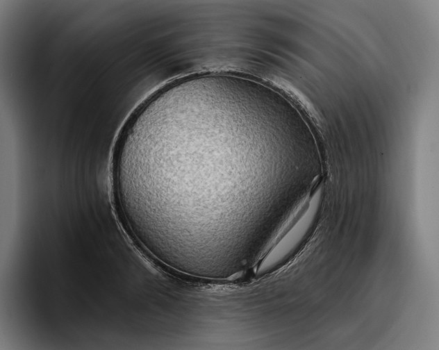 X0000096690894200802191426