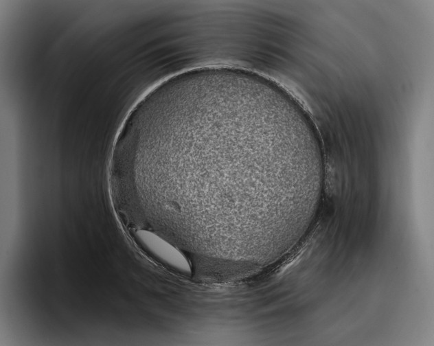 X0000096690895200802191426