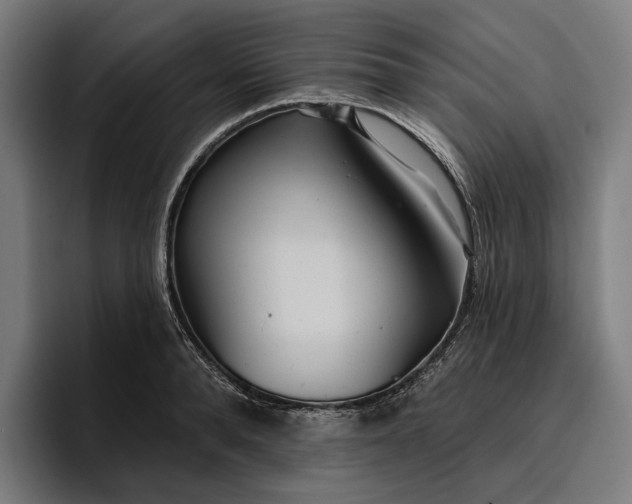 X0000096690896200802191426