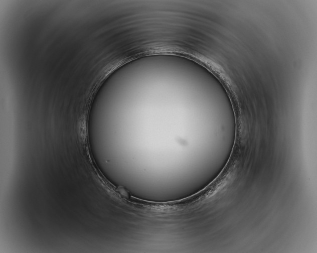 X0000096690897200802191426