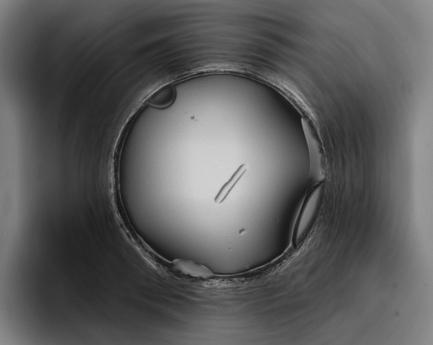 X0000096690898200802191426