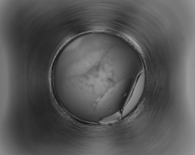 X0000096690899200802191426