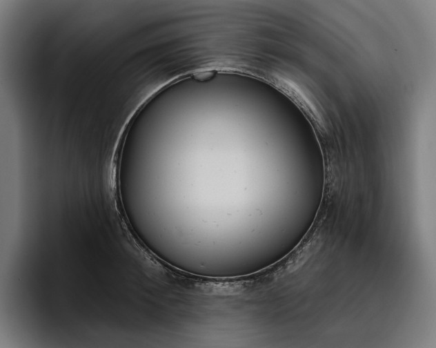 X0000096690900200802191426