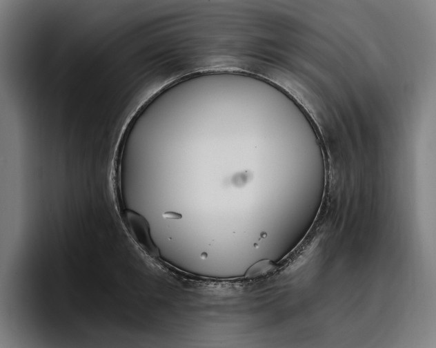 X0000096690901200802191426