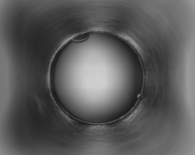 X0000096690902200802191426