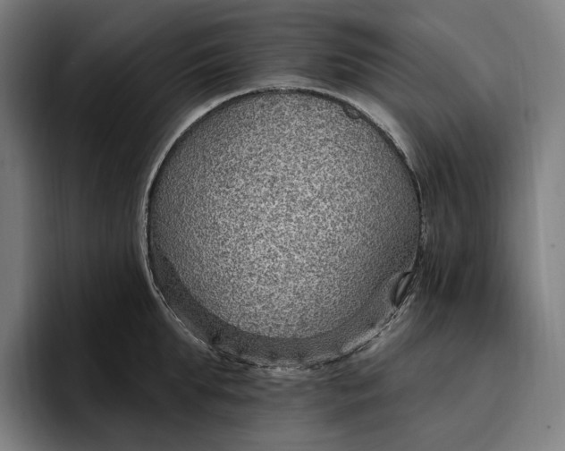 X0000096690903200802191426