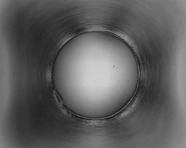 X0000096690905200802191426