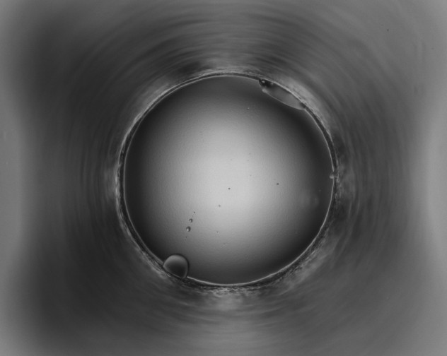 X0000096690906200802191426