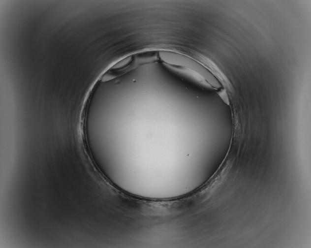 X0000096690908200802191426