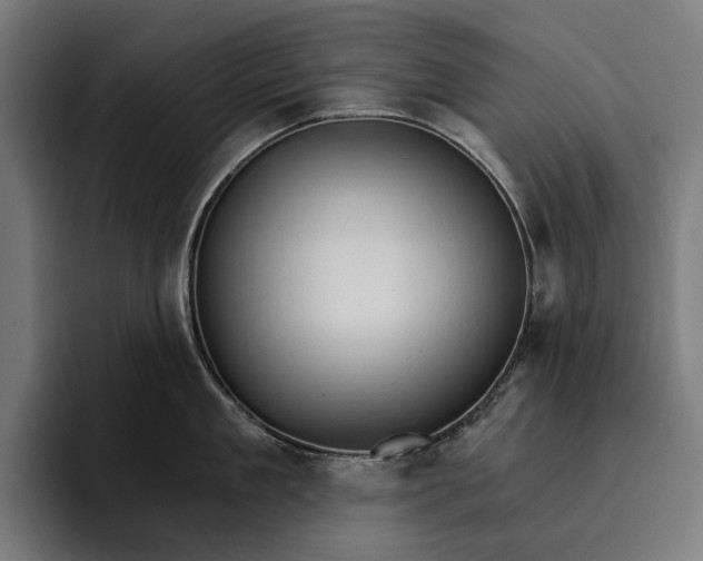 X0000096690909200802191426