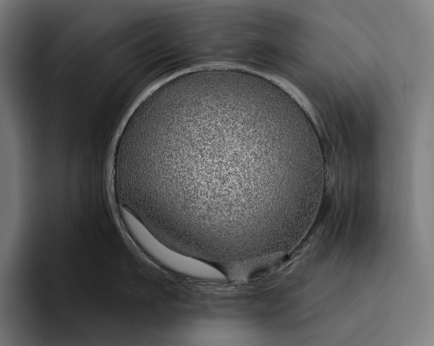 X0000096690911200802191425