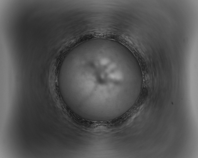 X0000096690913200802191425