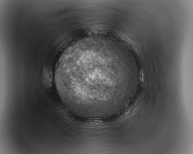 X0000096690915200802191425