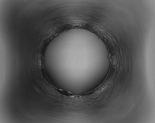 X0000096690916200802191425