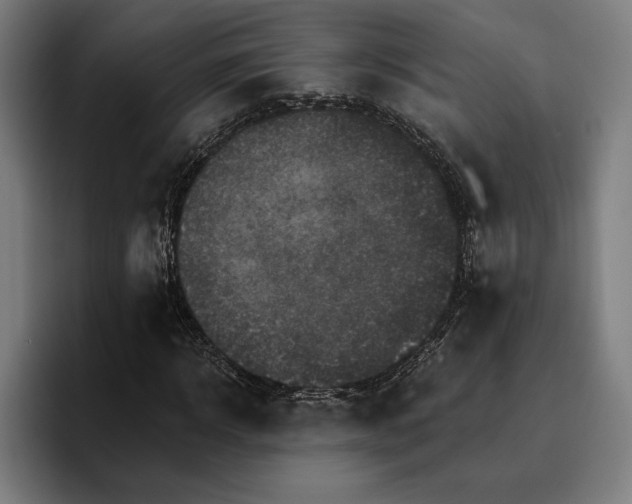 X0000096690918200802191425