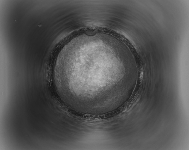 X0000096690919200802191425