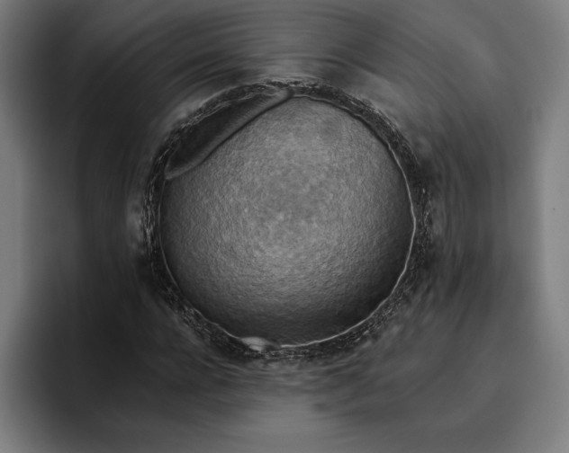 X0000096690920200802191425