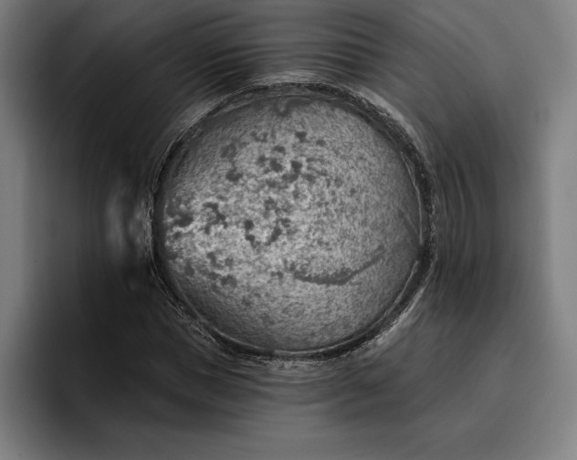 X0000096690921200802191425