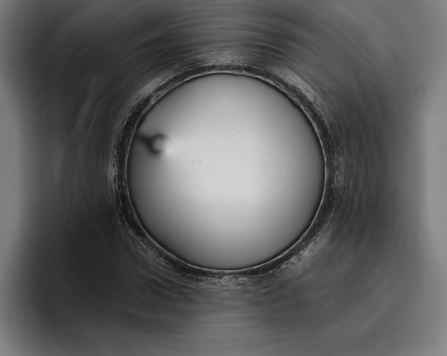 X0000096690922200802191425