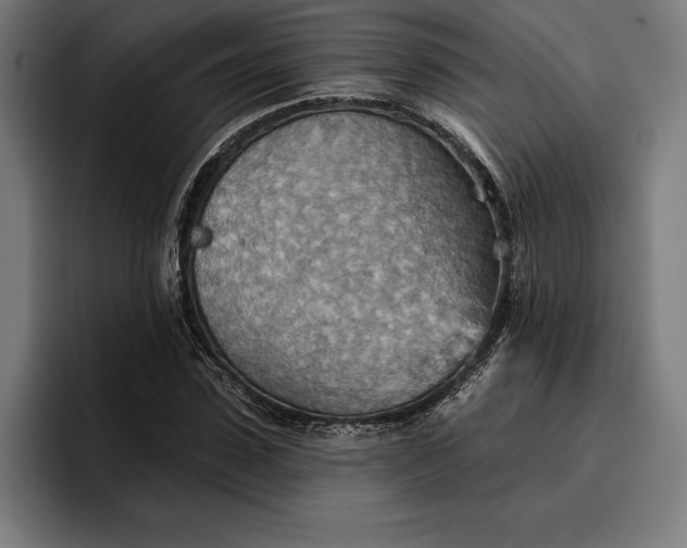 X0000096690923200802191425