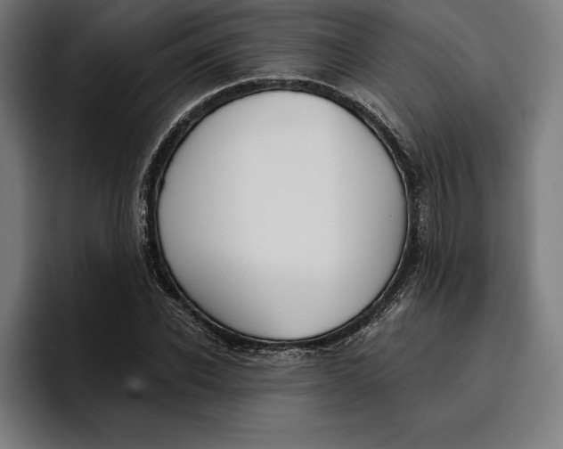 X0000096690926200802191425