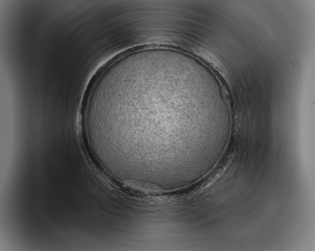 X0000096690928200802191425