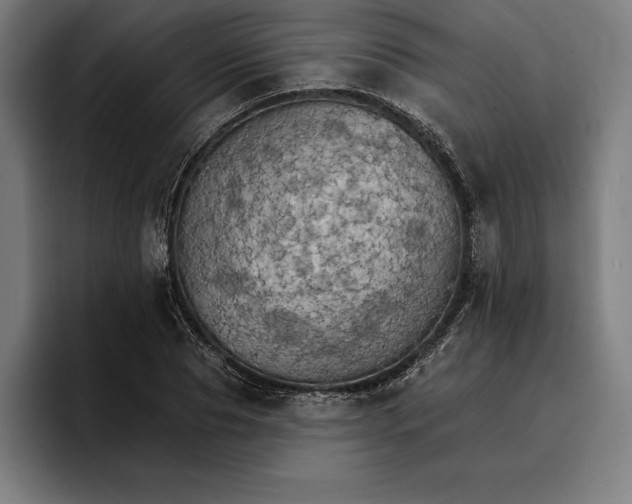 X0000096690929200802191425