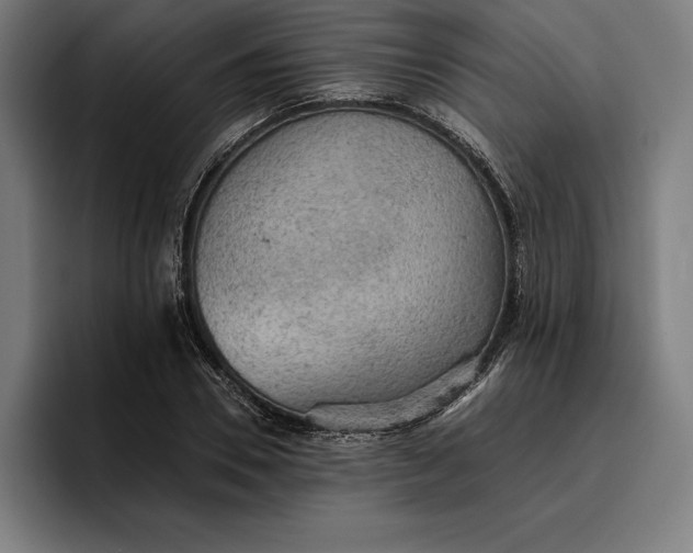 X0000096690930200802191425