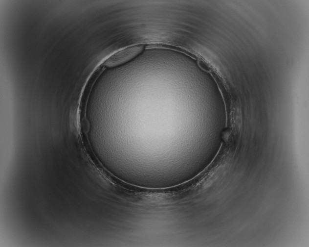 X0000096690932200802191425