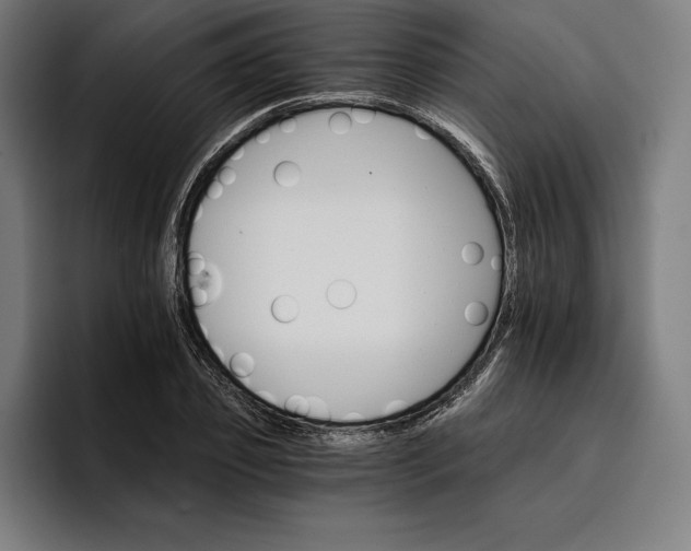 X0000096690933200802191425