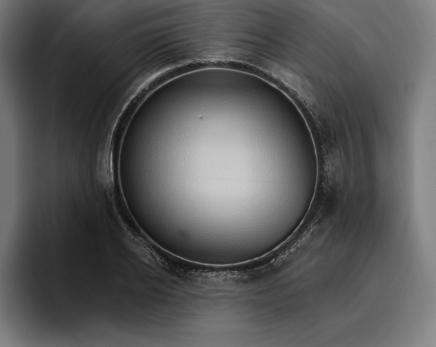 X0000096690934200802191425