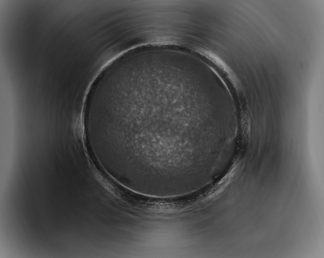 X0000096690935200802191425