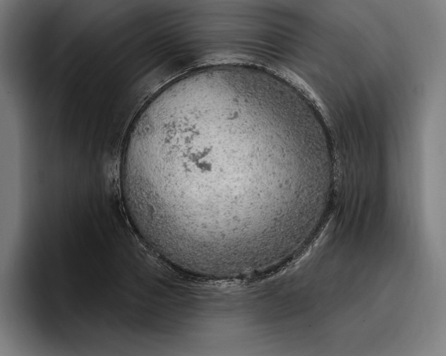 X0000096690937200802191425