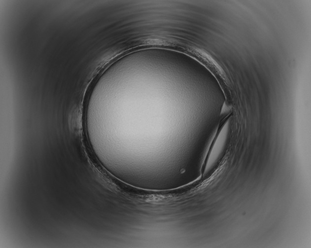 X0000096690938200802191425