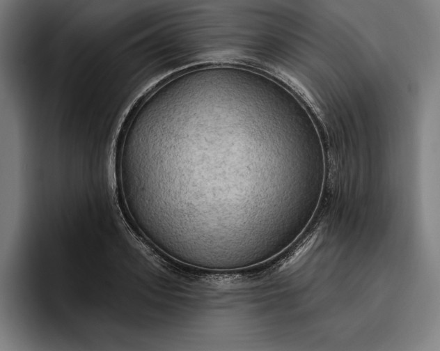 X0000096690939200802191425