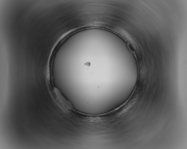 X0000096690940200802191425