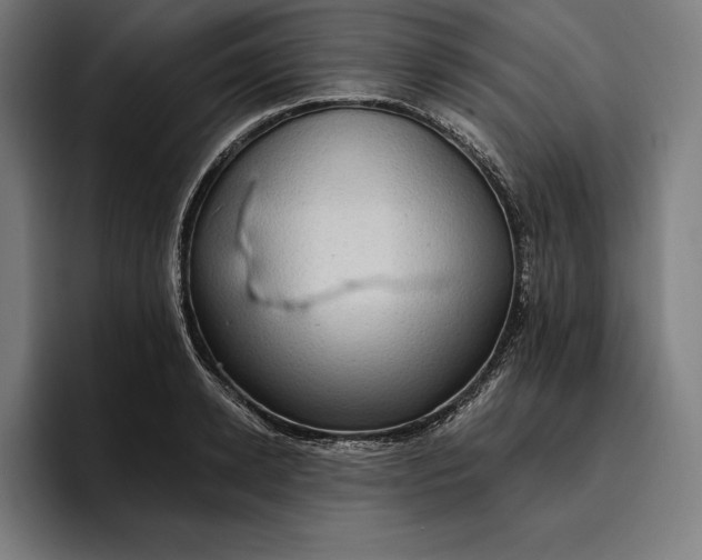 X0000096690942200802191425