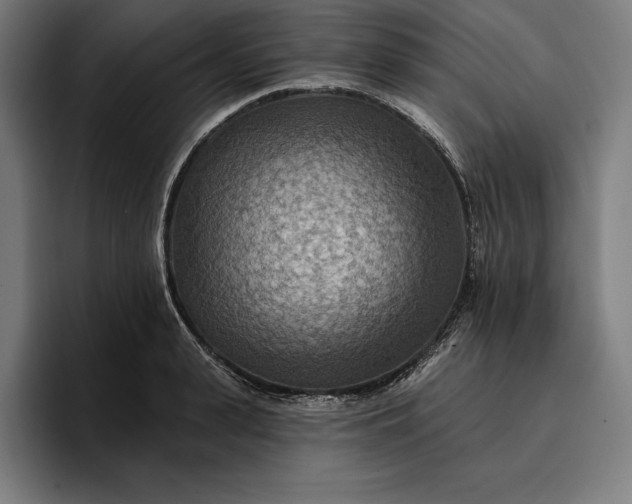 X0000096690943200802191425