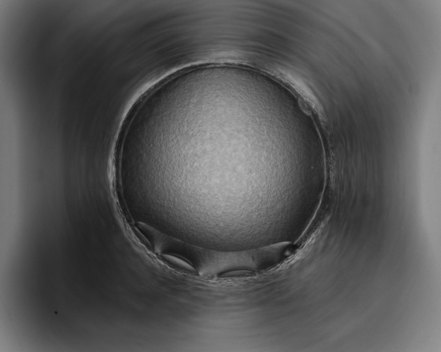 X0000096690944200802191425