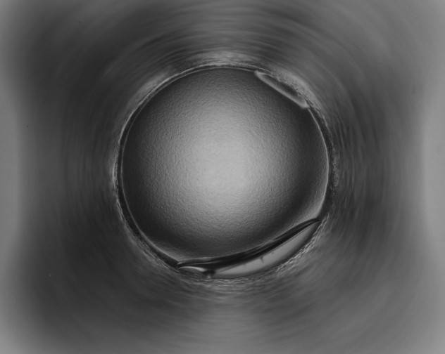 X0000096690946200802191425