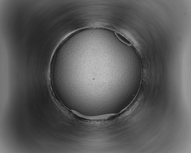 X0000096690948200802191425